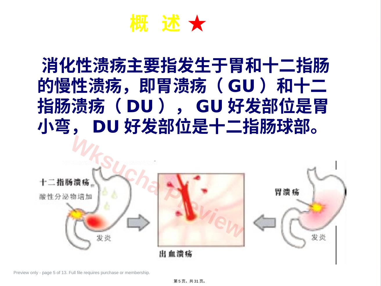 预览第 5 页