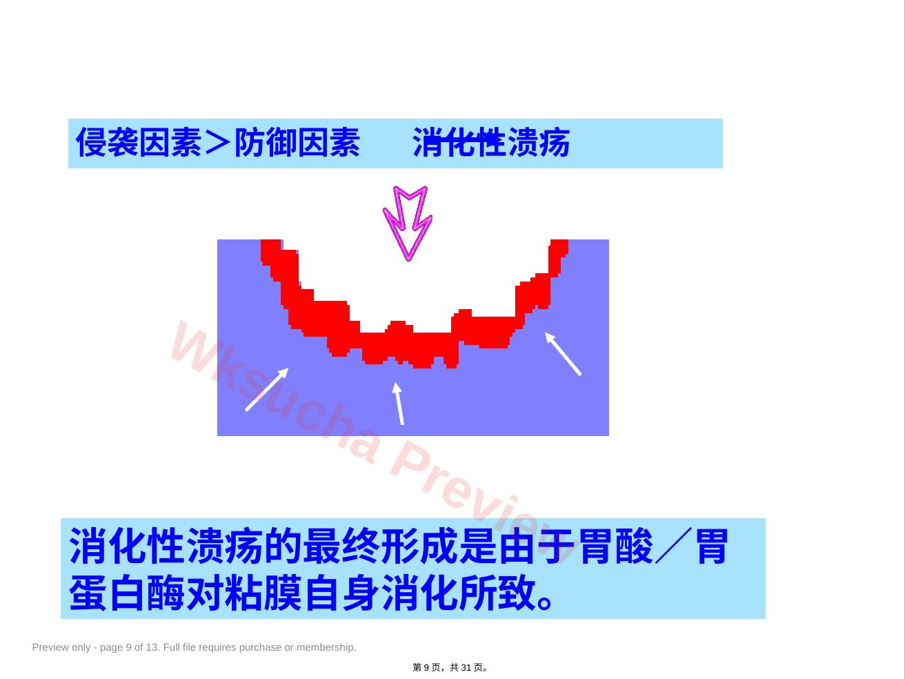 预览第 9 页
