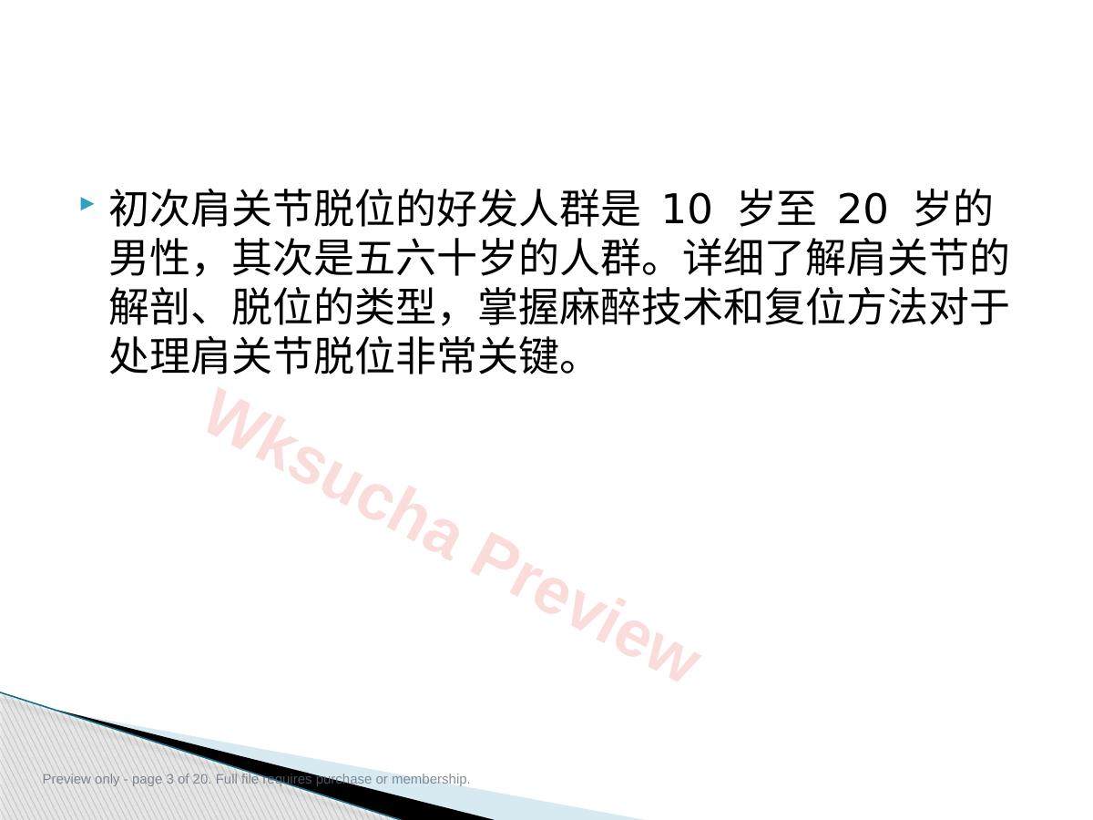 预览第 3 页