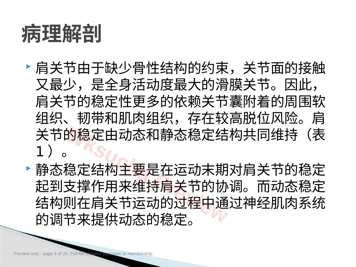 预览第 4 页