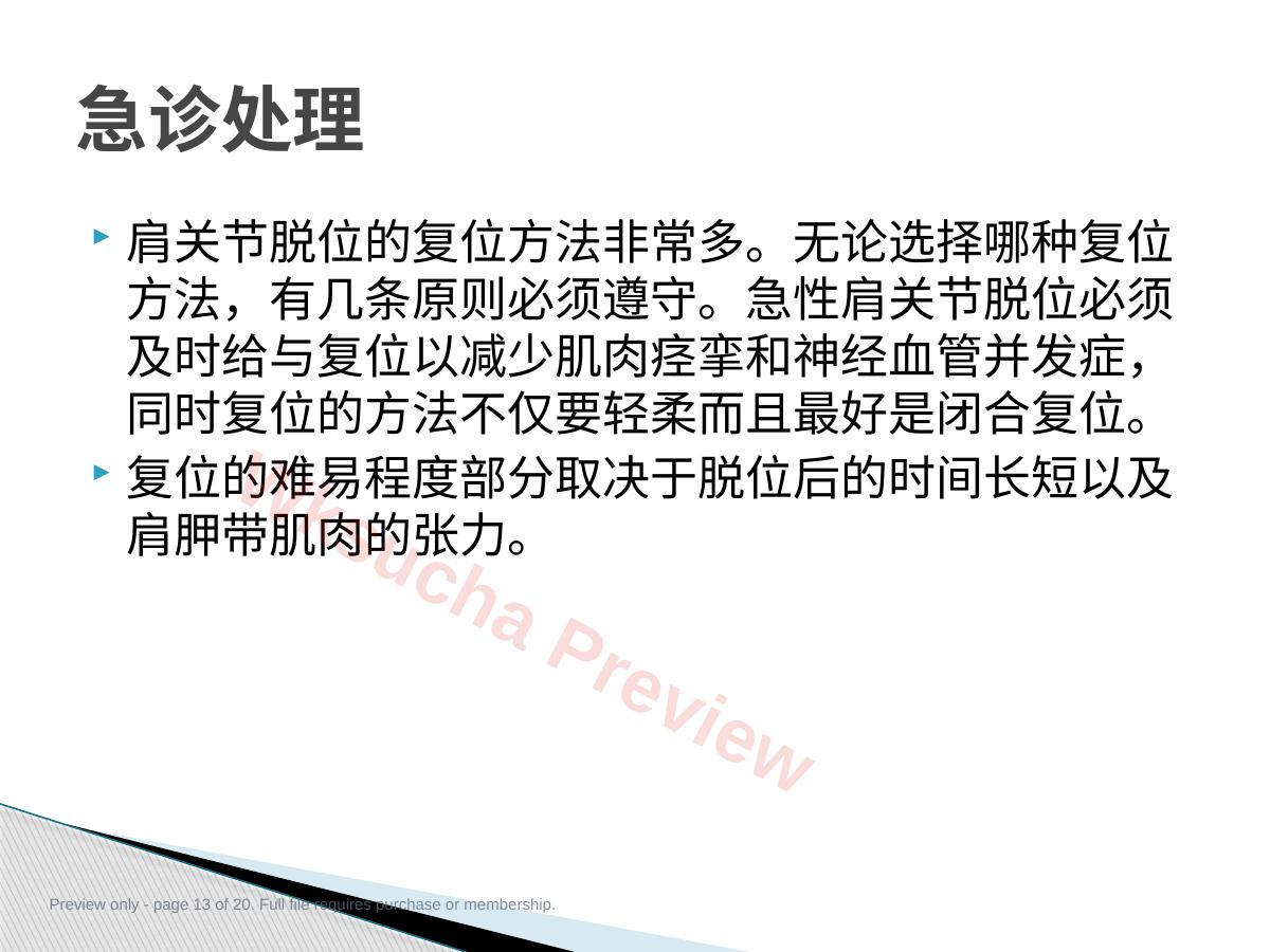 预览第 13 页