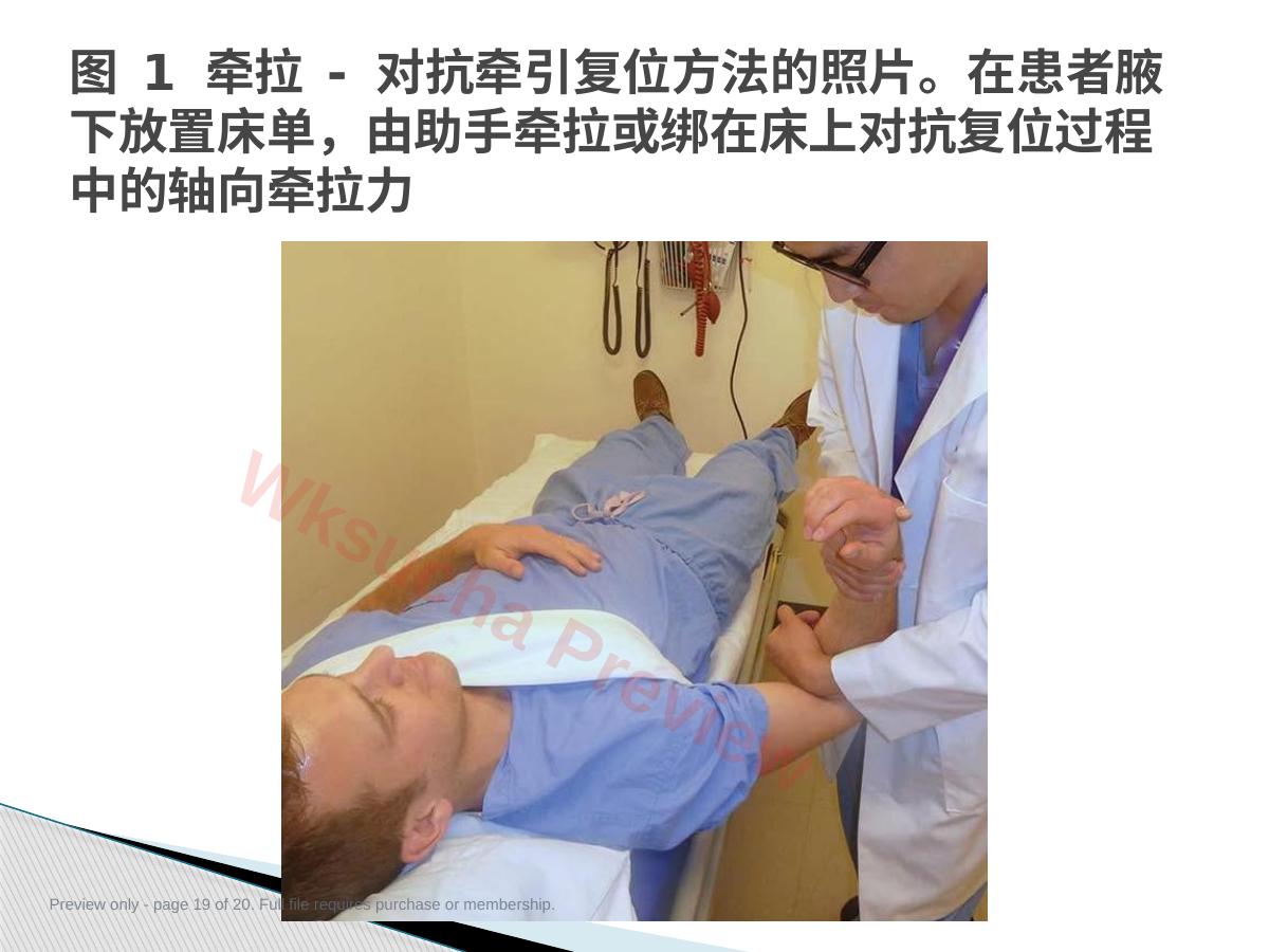 预览第 19 页