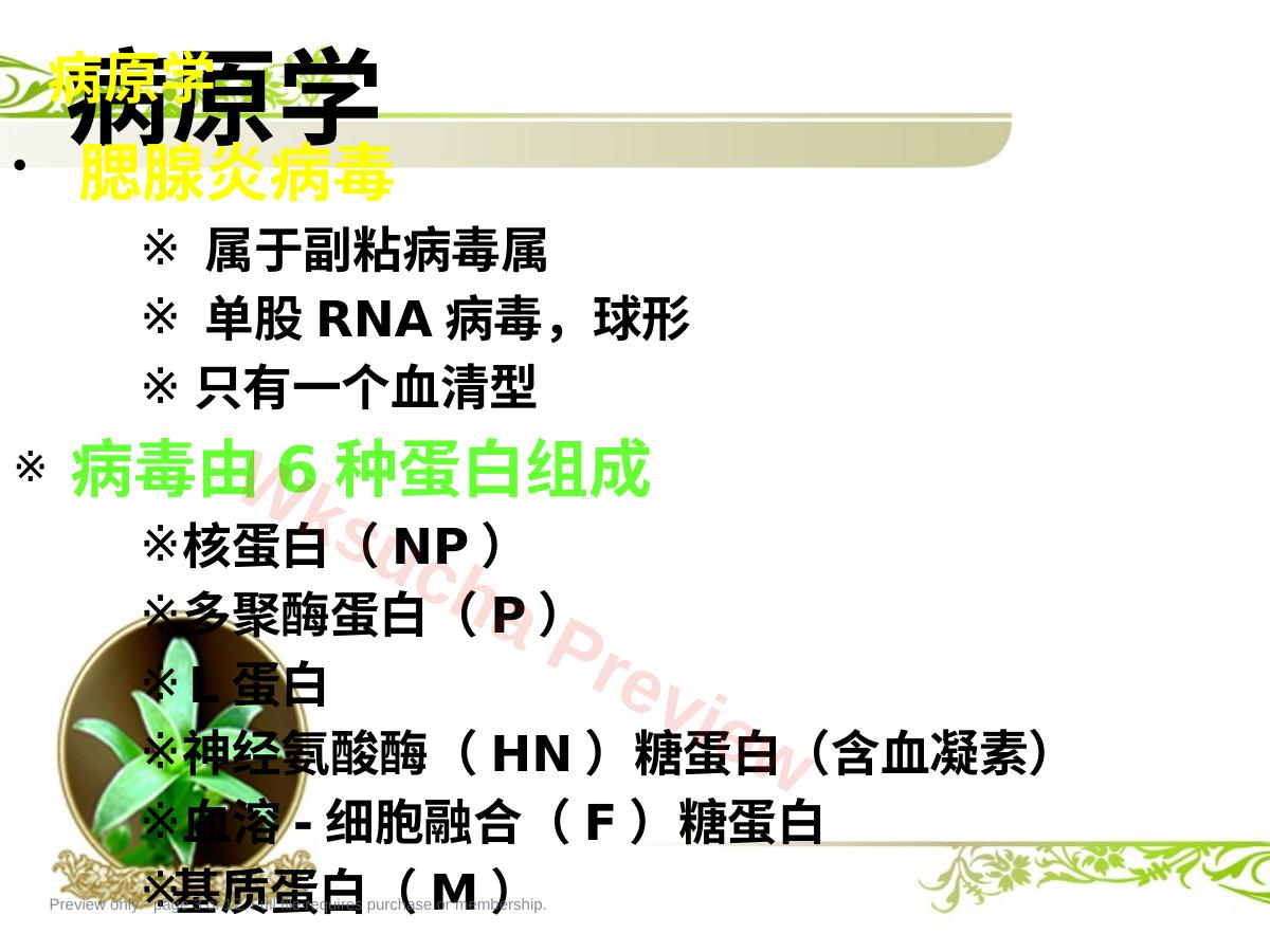预览第 3 页