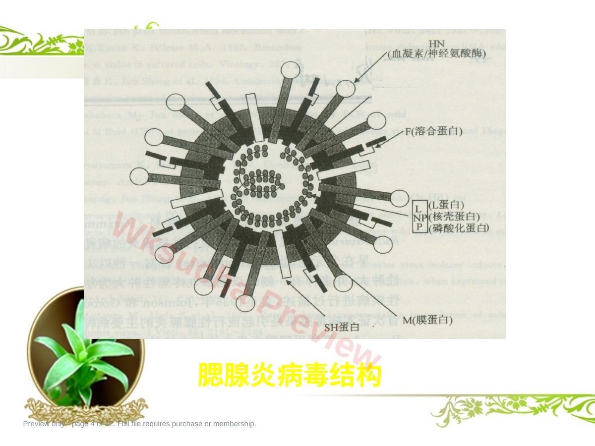 预览第 4 页