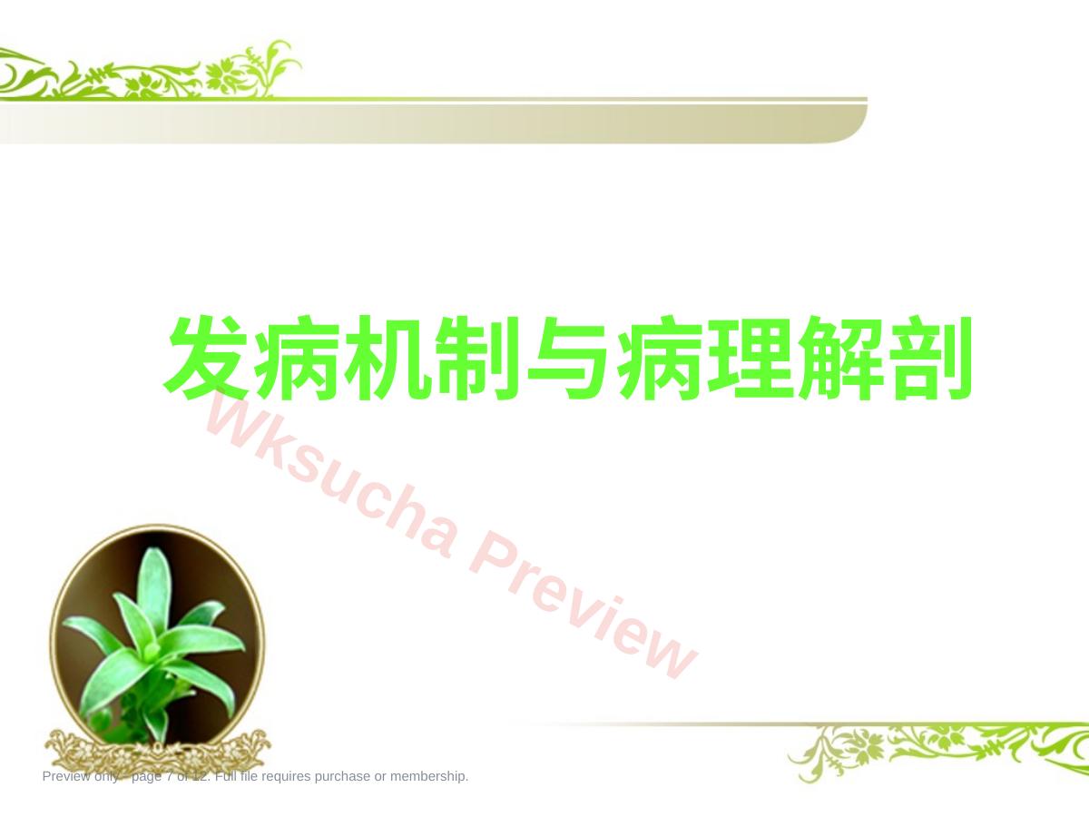 预览第 7 页