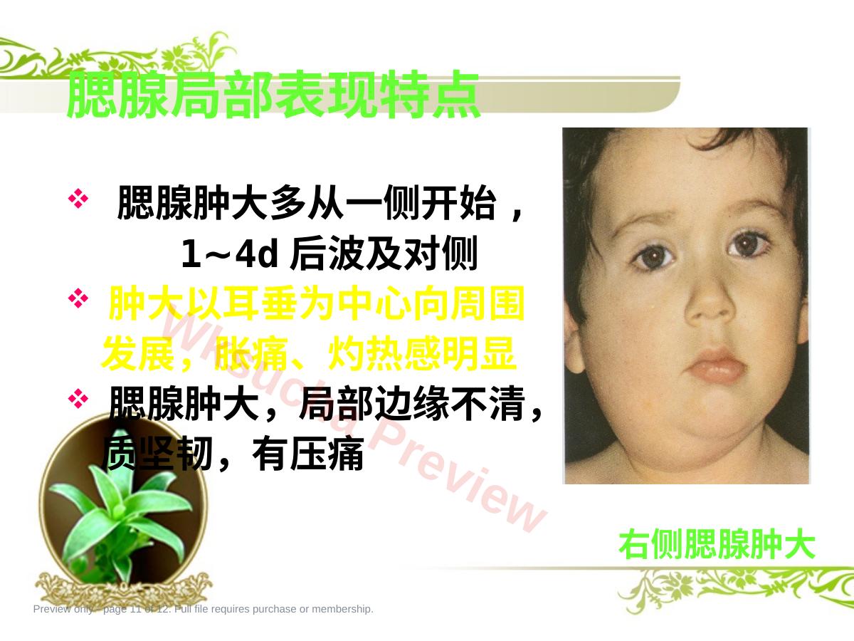 预览第 11 页