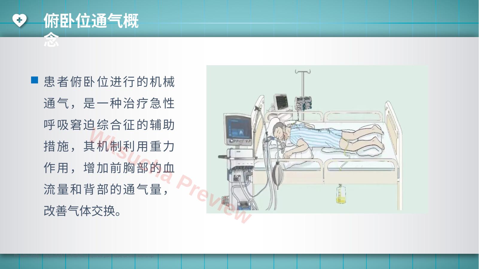 预览第 4 页