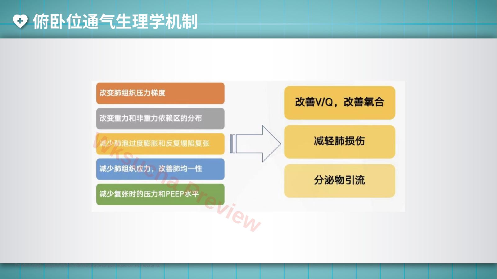 预览第 6 页