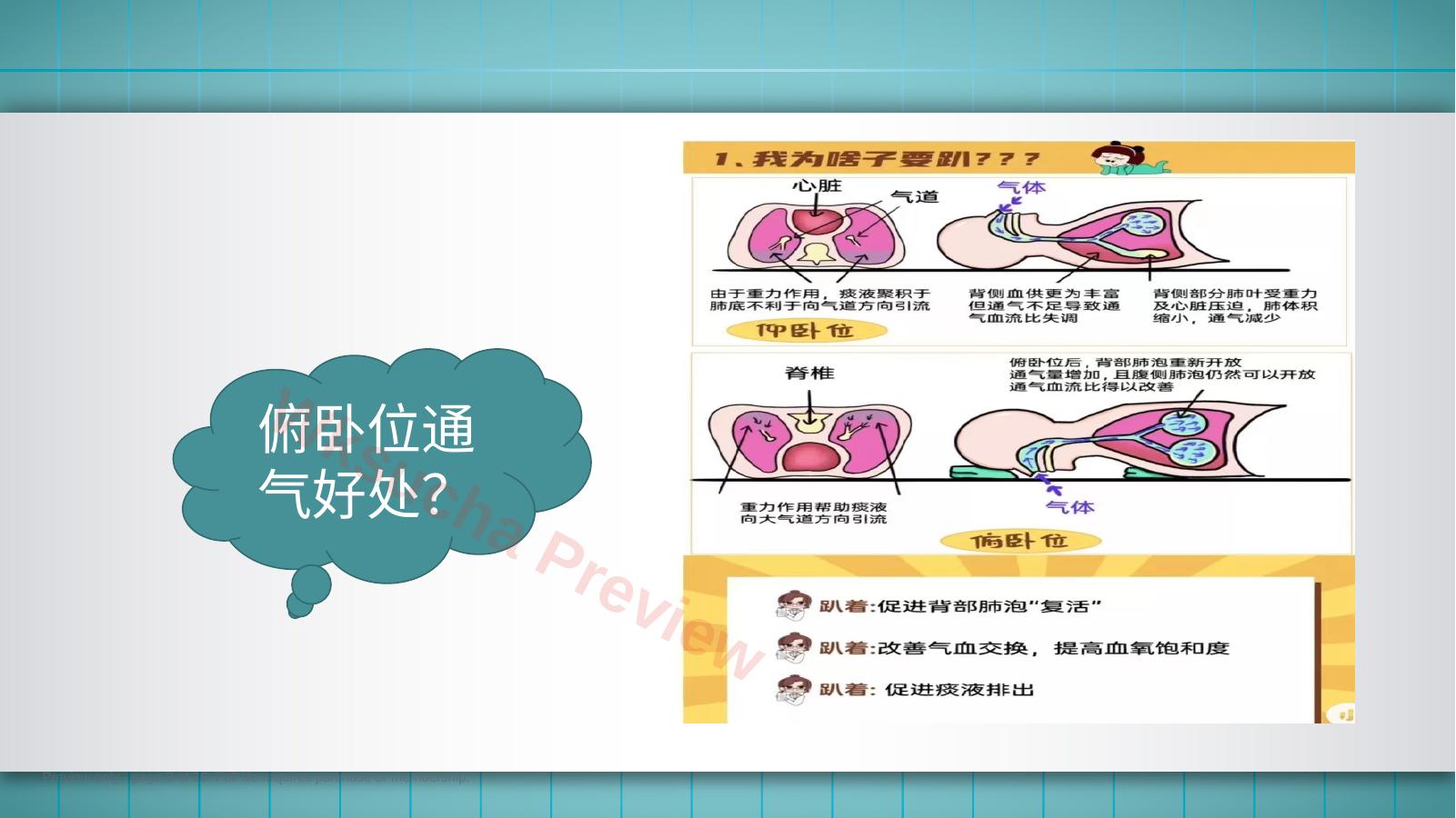 预览第 8 页