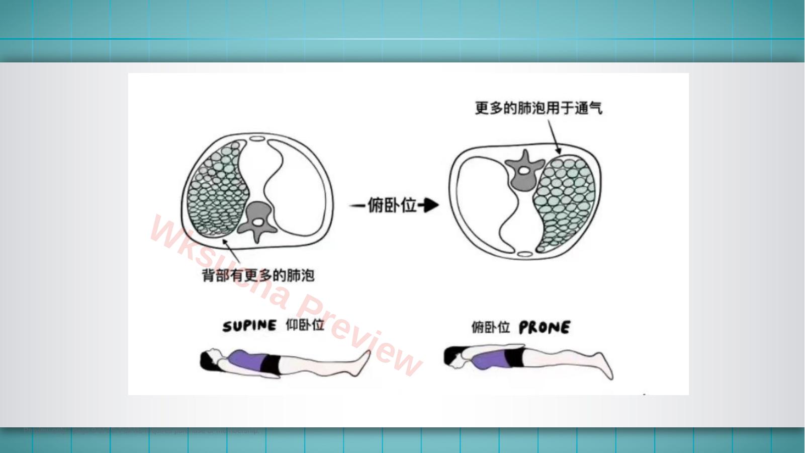 预览第 9 页