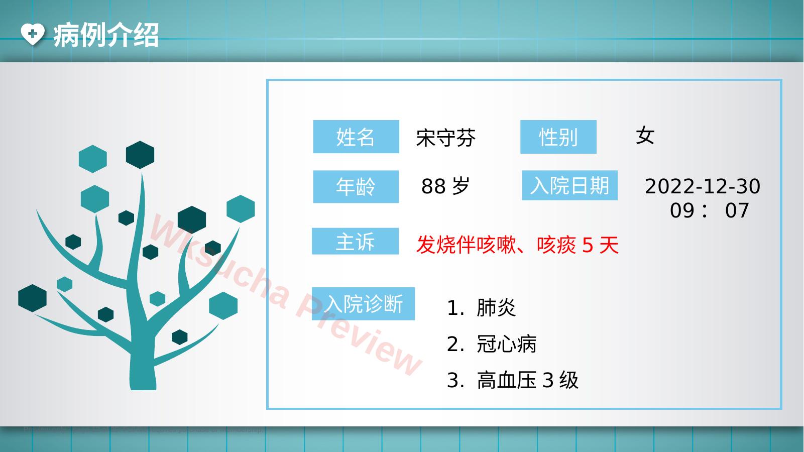 预览第 12 页
