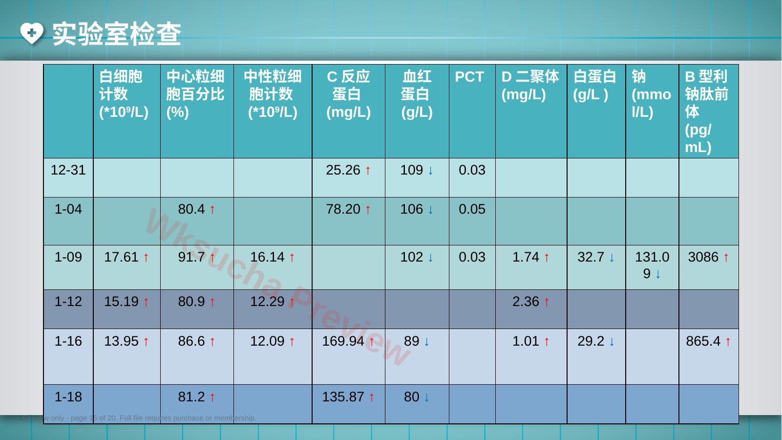 预览第 15 页