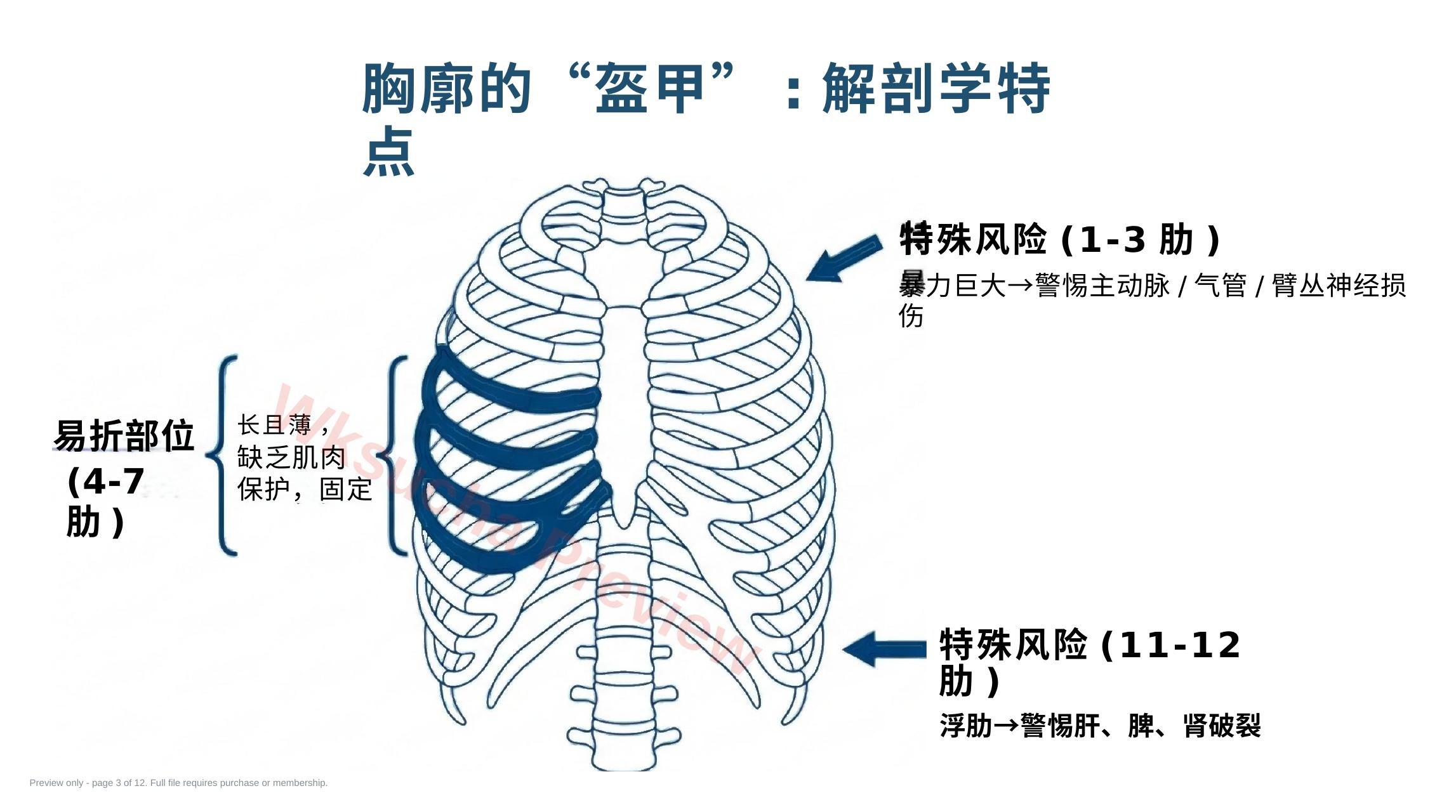 预览第 3 页