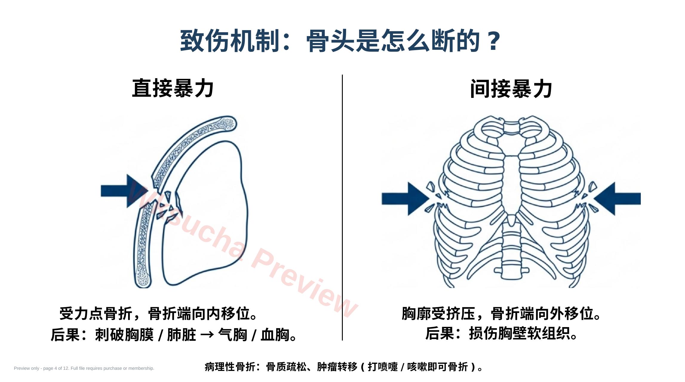预览第 4 页