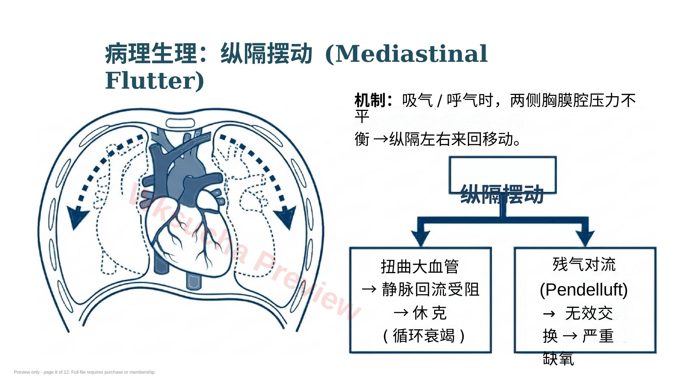 预览第 8 页