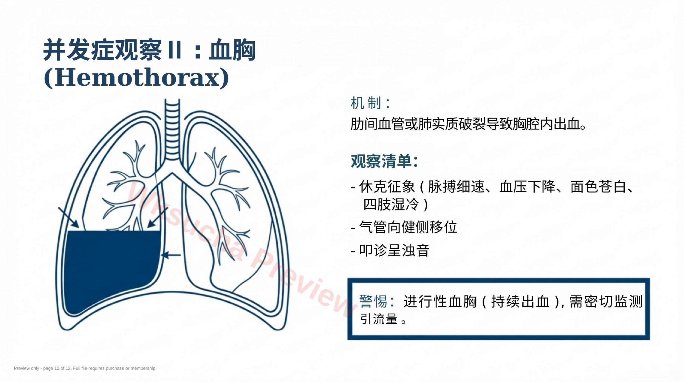 预览第 12 页