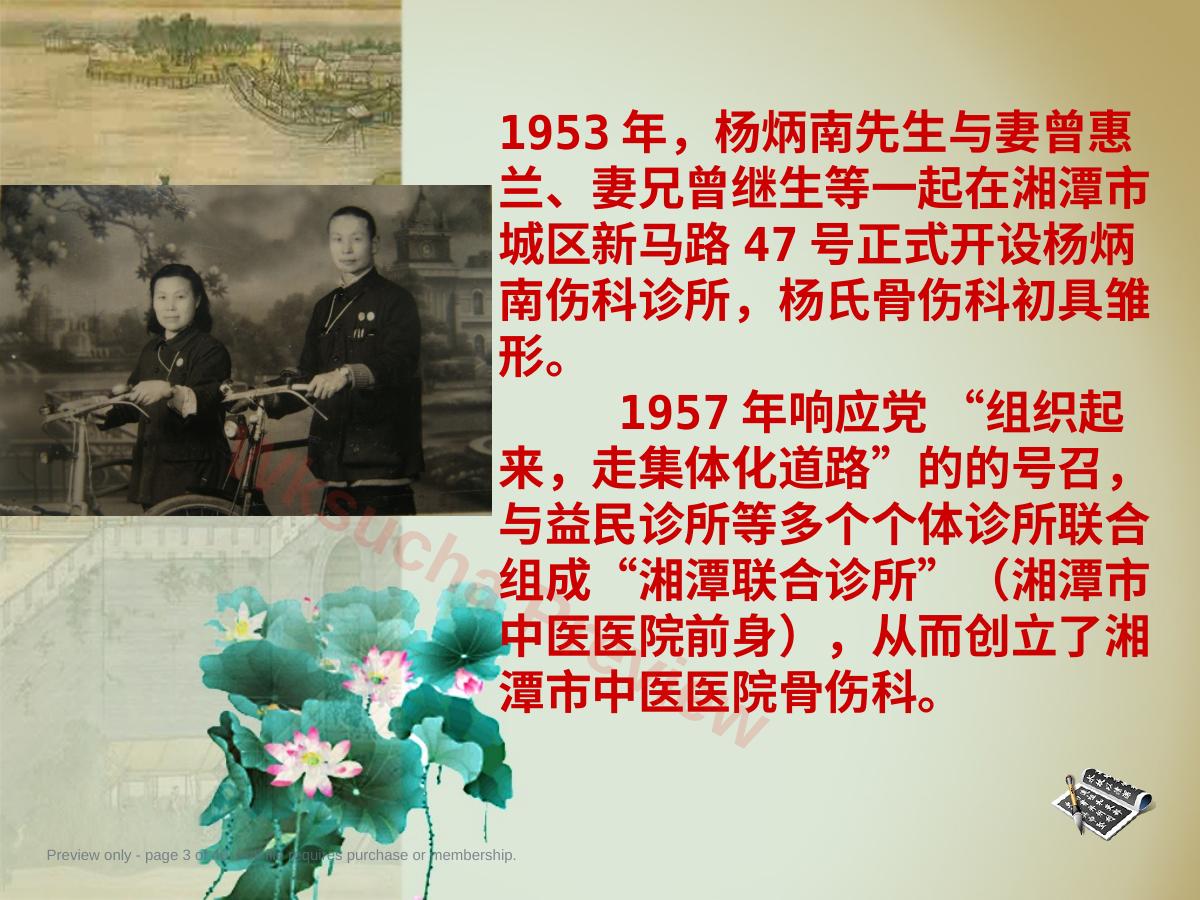 预览第 3 页