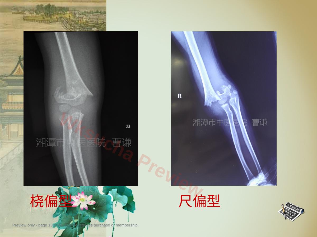 预览第 13 页