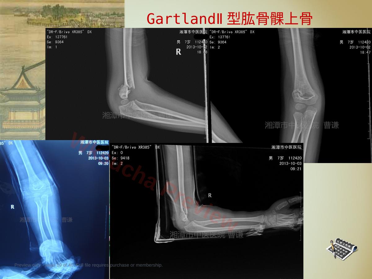 预览第 19 页