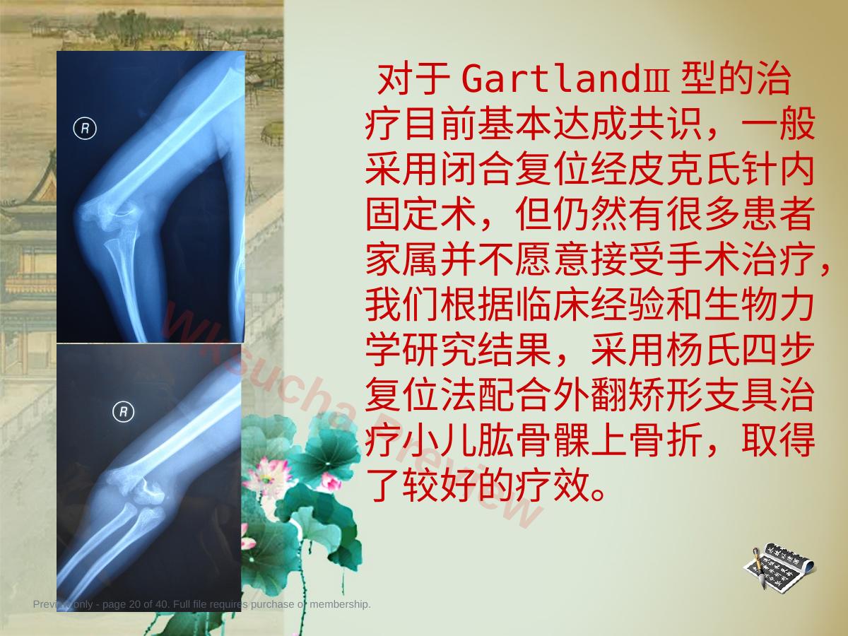 预览第 20 页
