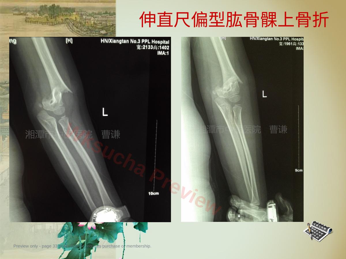 预览第 33 页
