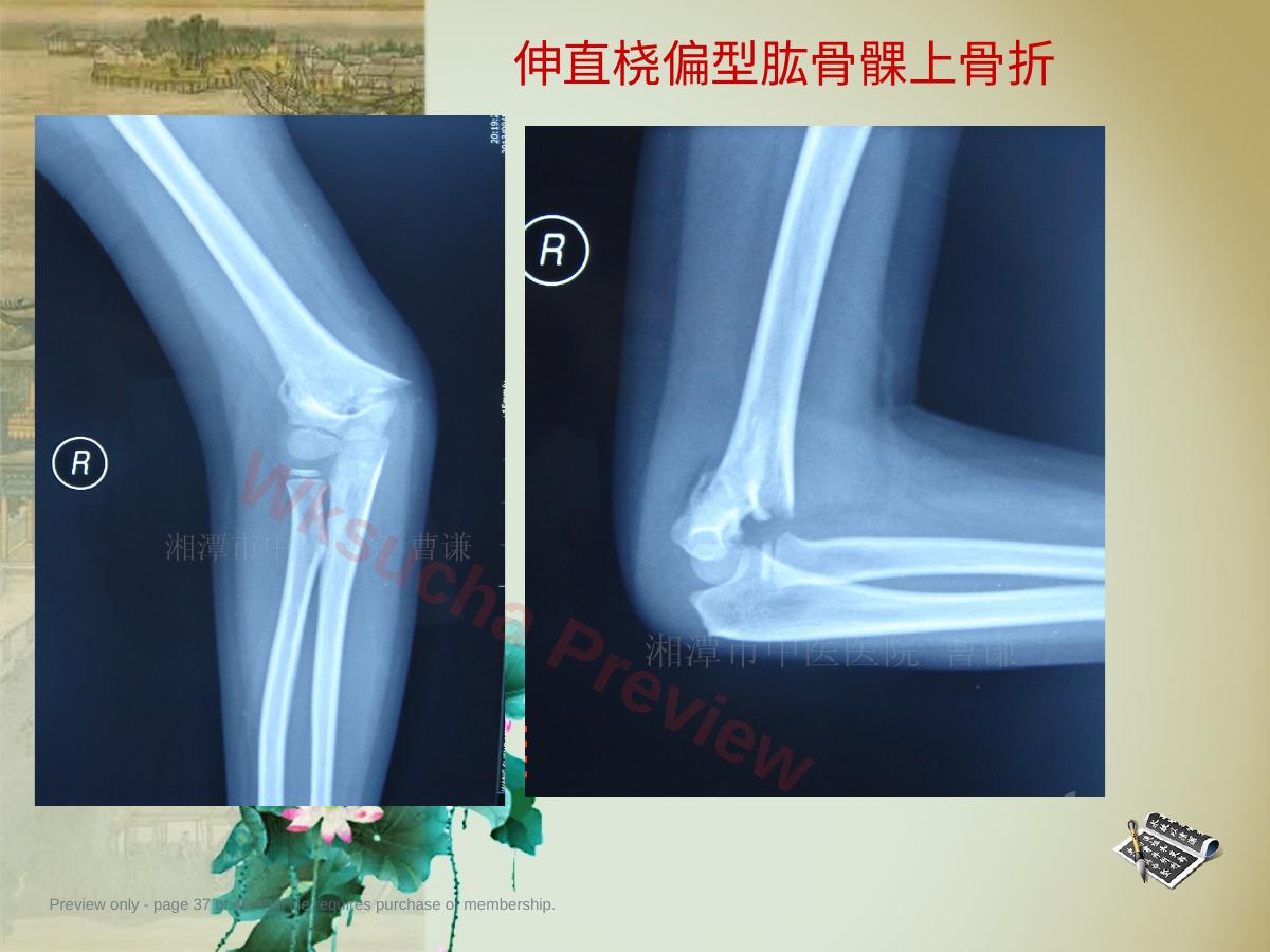 预览第 37 页