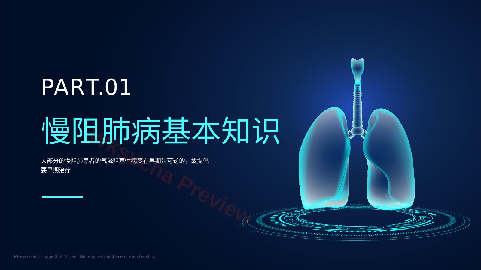 预览第 3 页