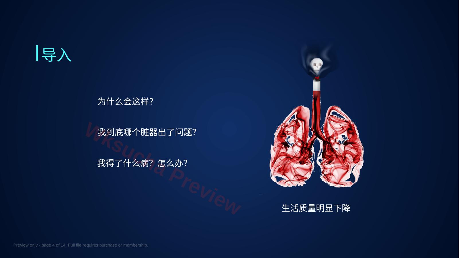 预览第 4 页