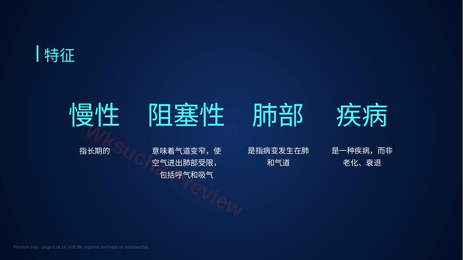 预览第 6 页