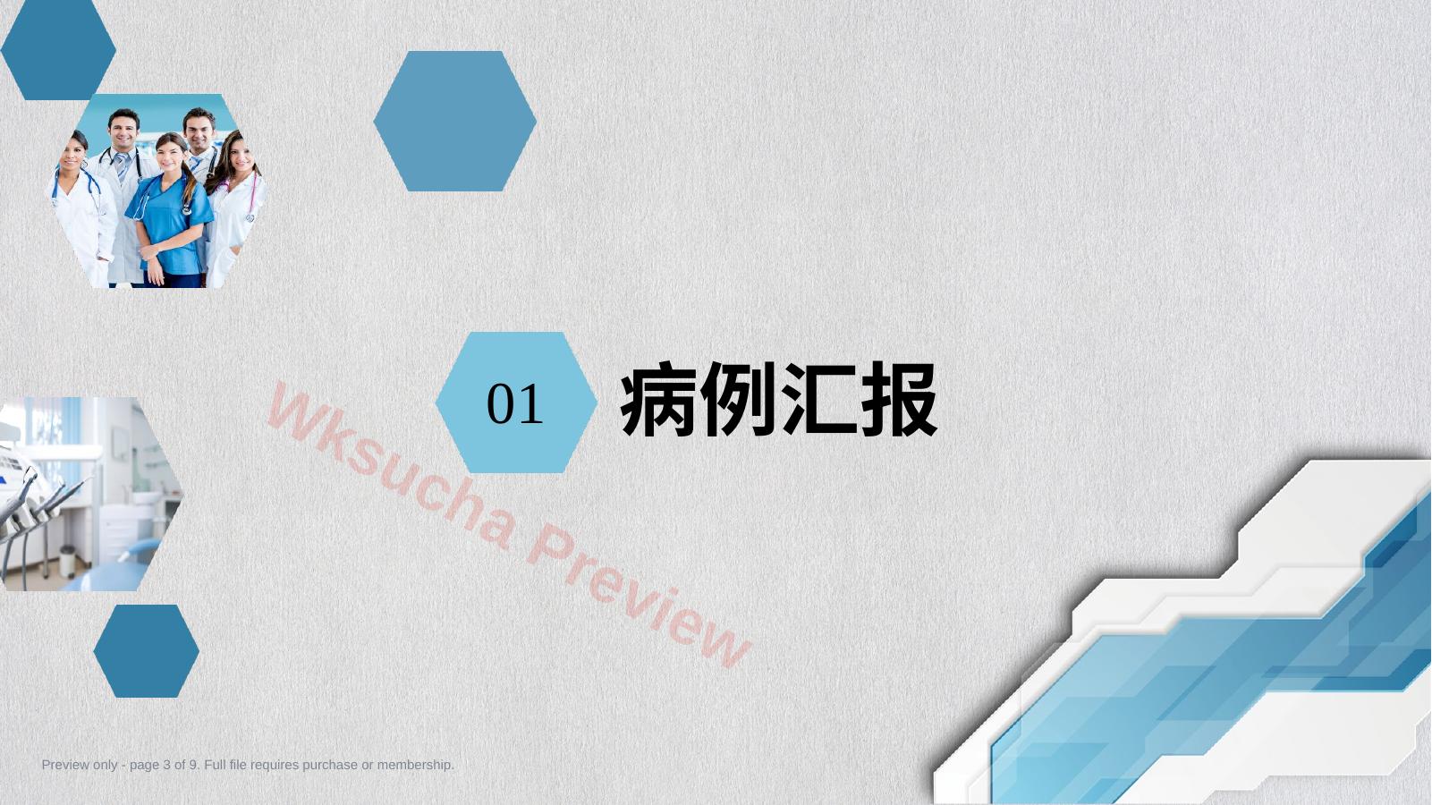 预览第 3 页