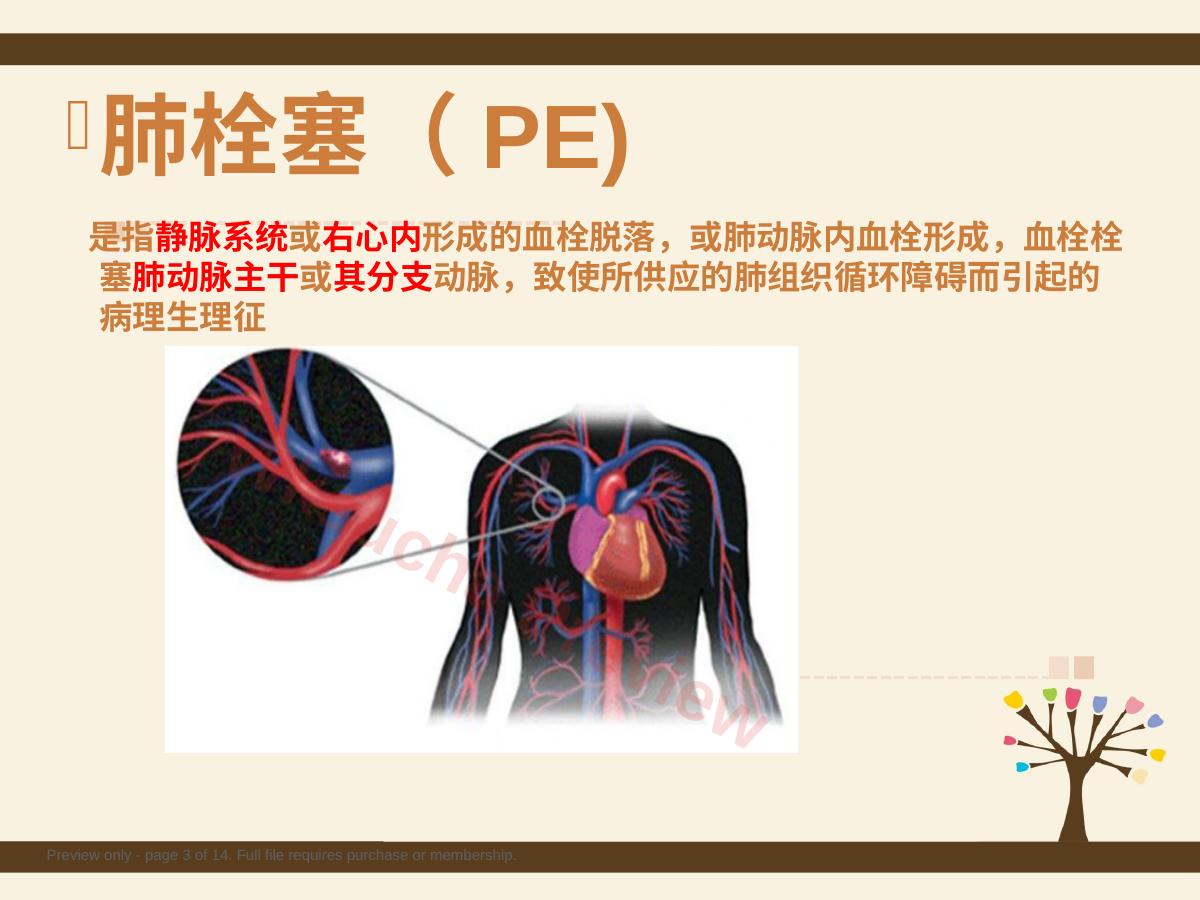 预览第 3 页