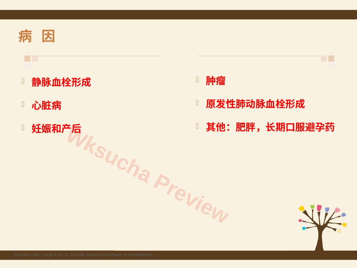预览第 4 页