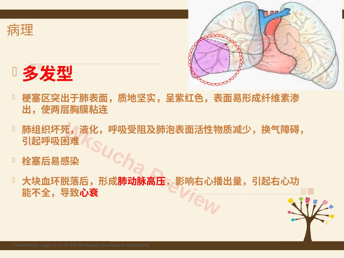 预览第 12 页