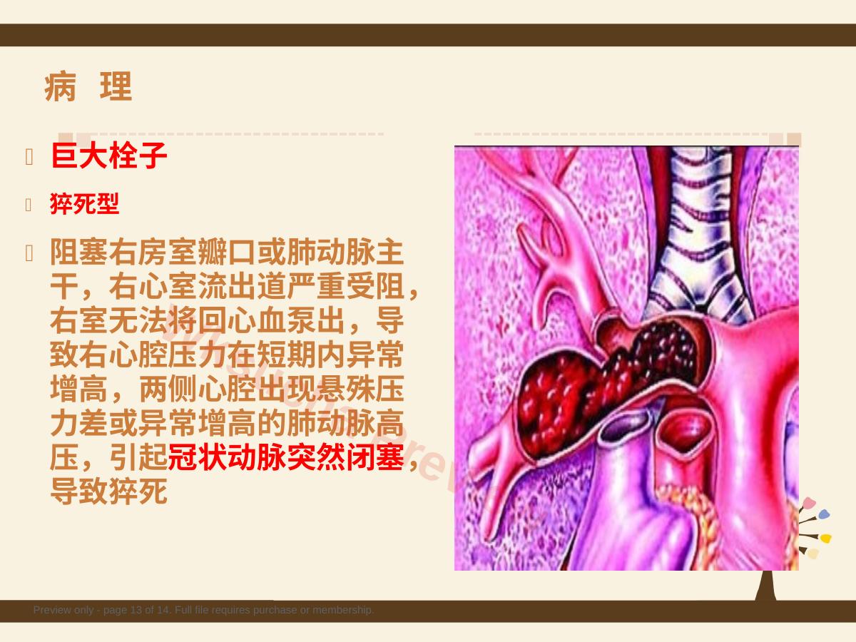 预览第 13 页