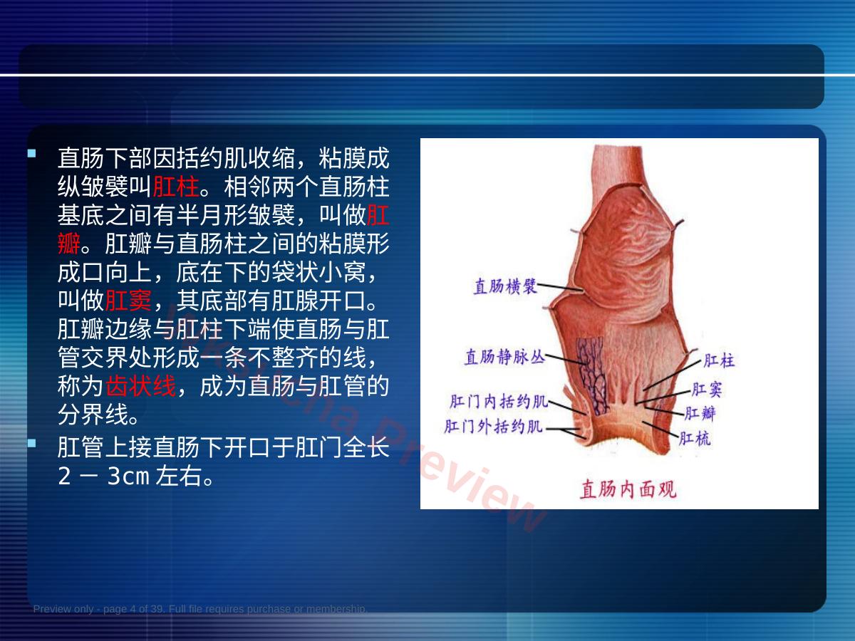 预览第 4 页