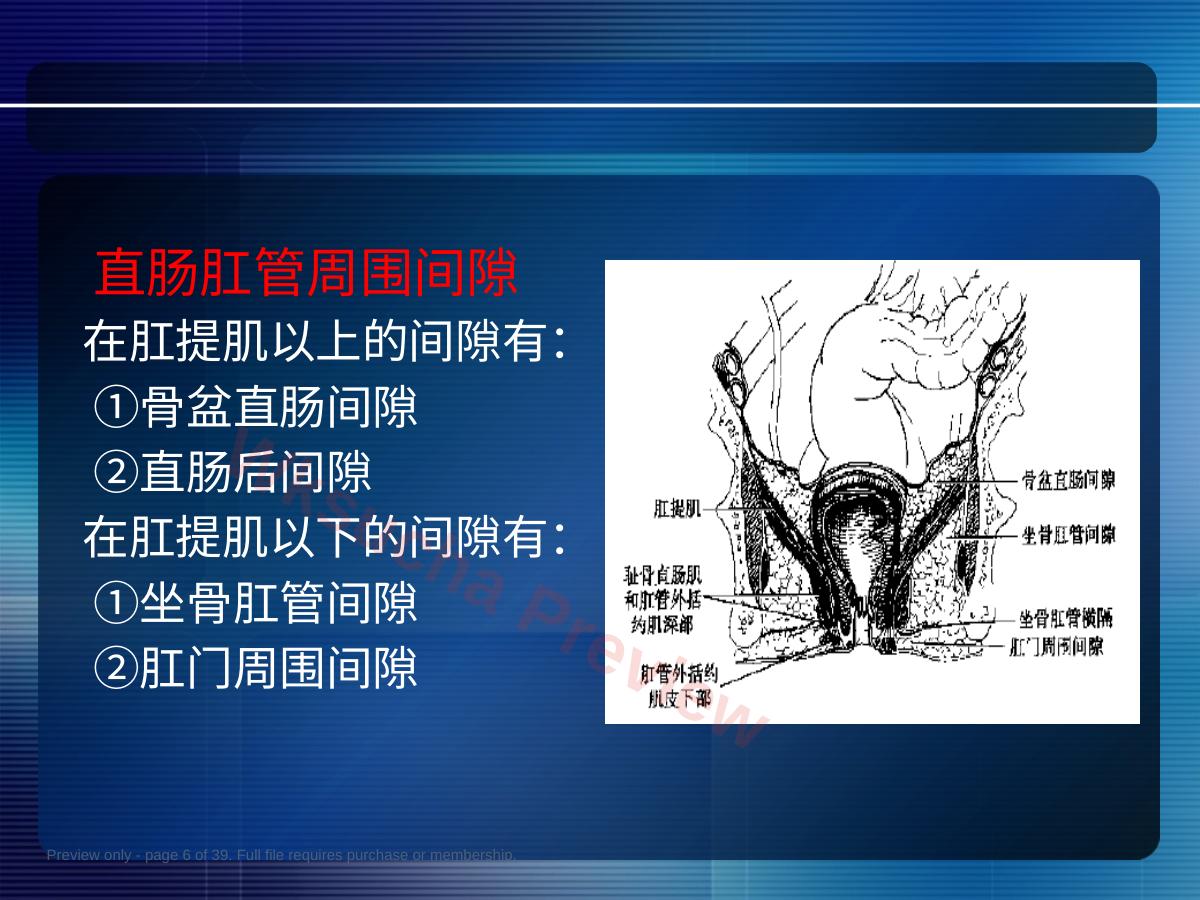 预览第 6 页