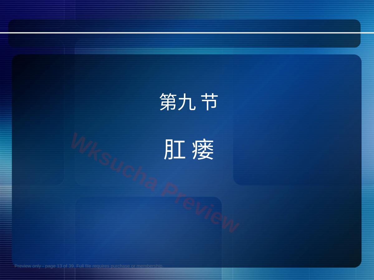 预览第 13 页