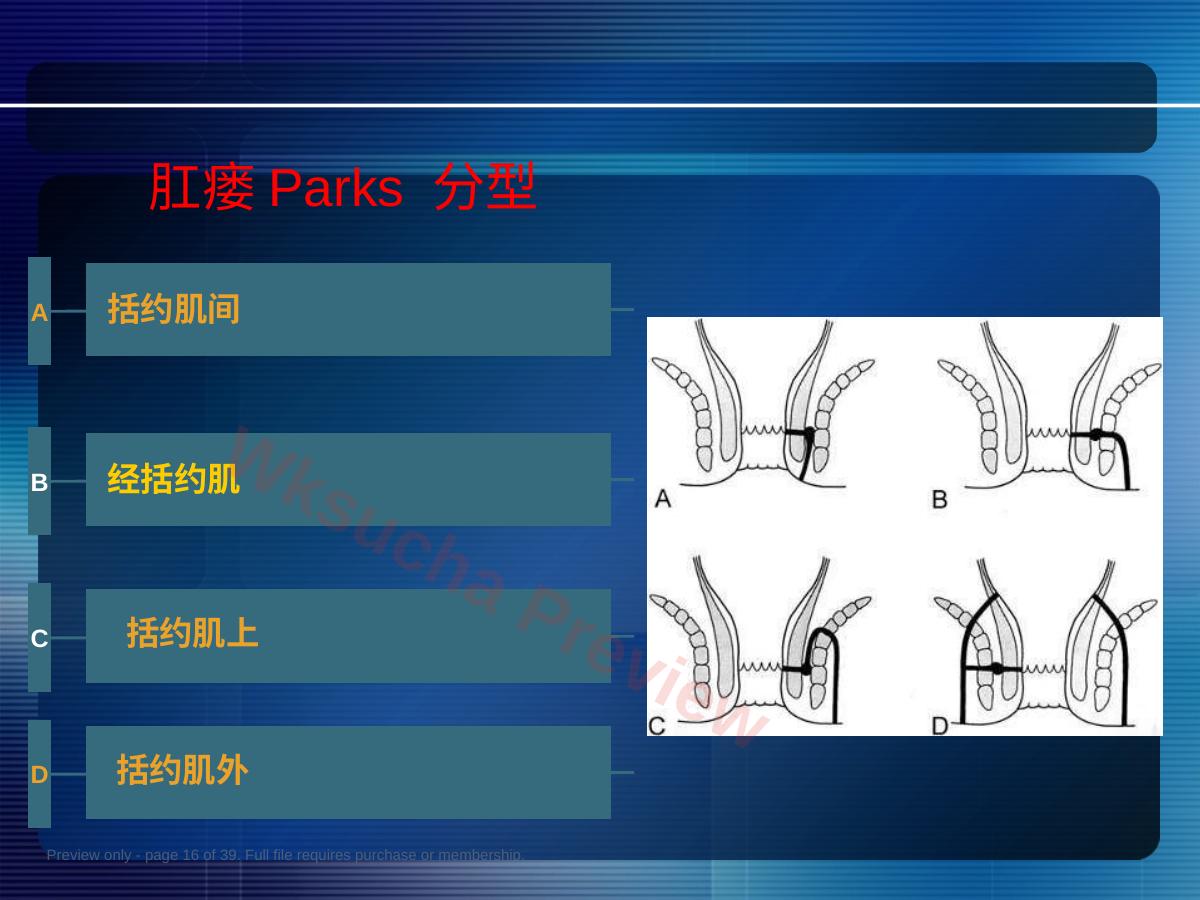 预览第 16 页