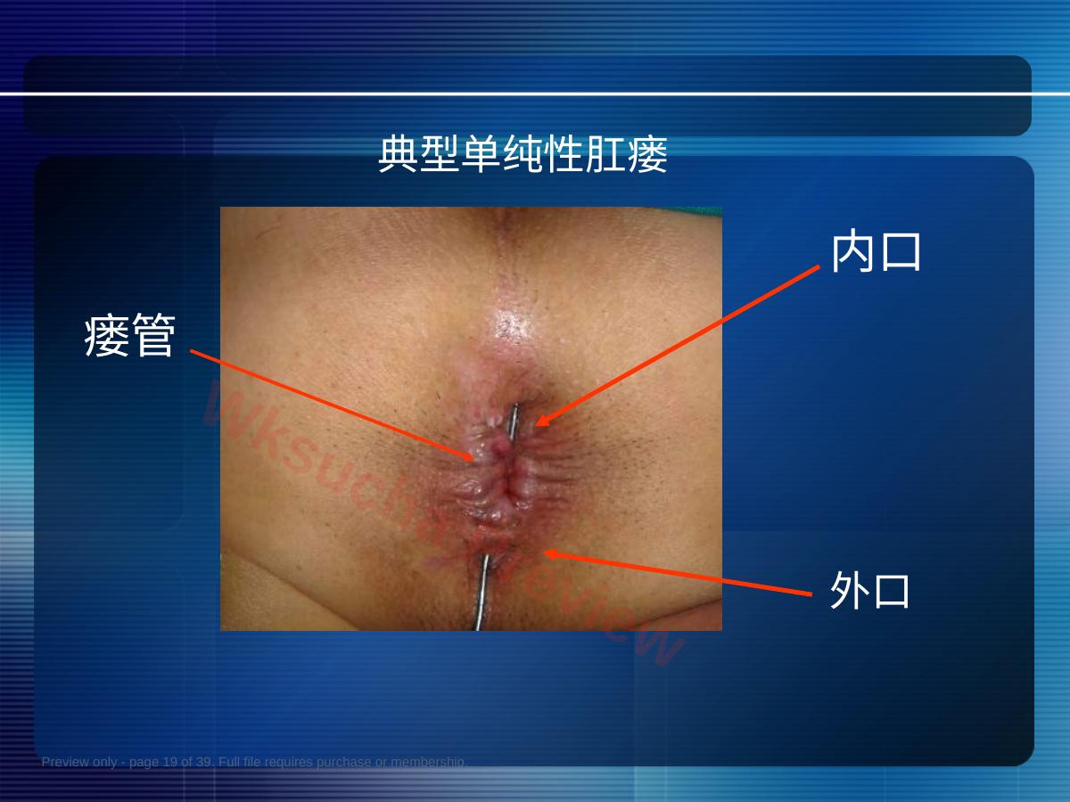 预览第 19 页