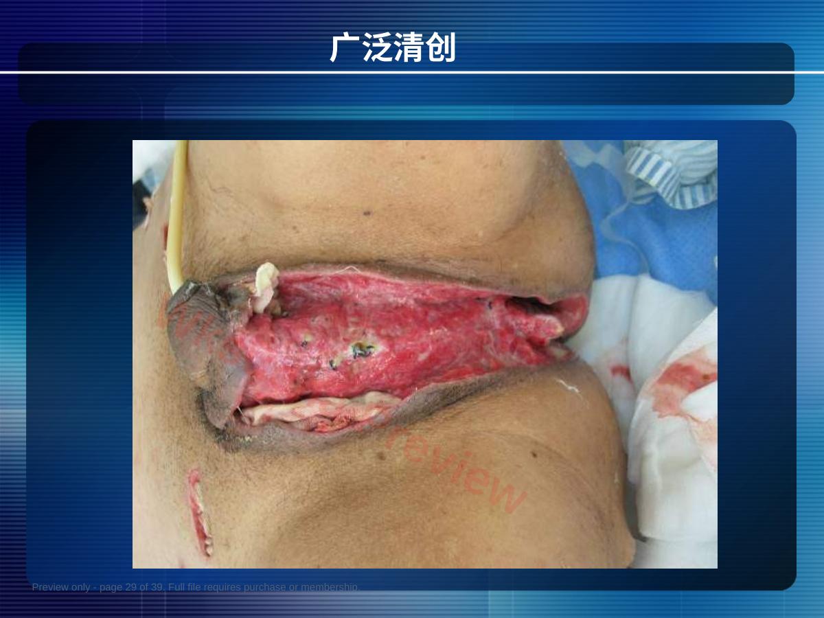 预览第 29 页