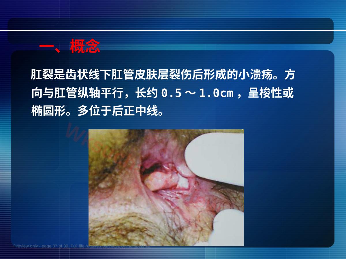 预览第 37 页
