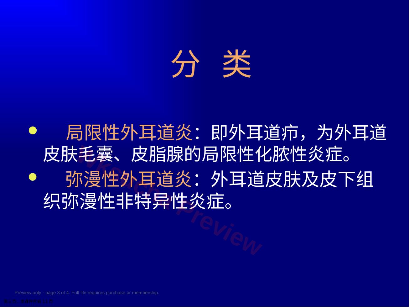 预览第 3 页