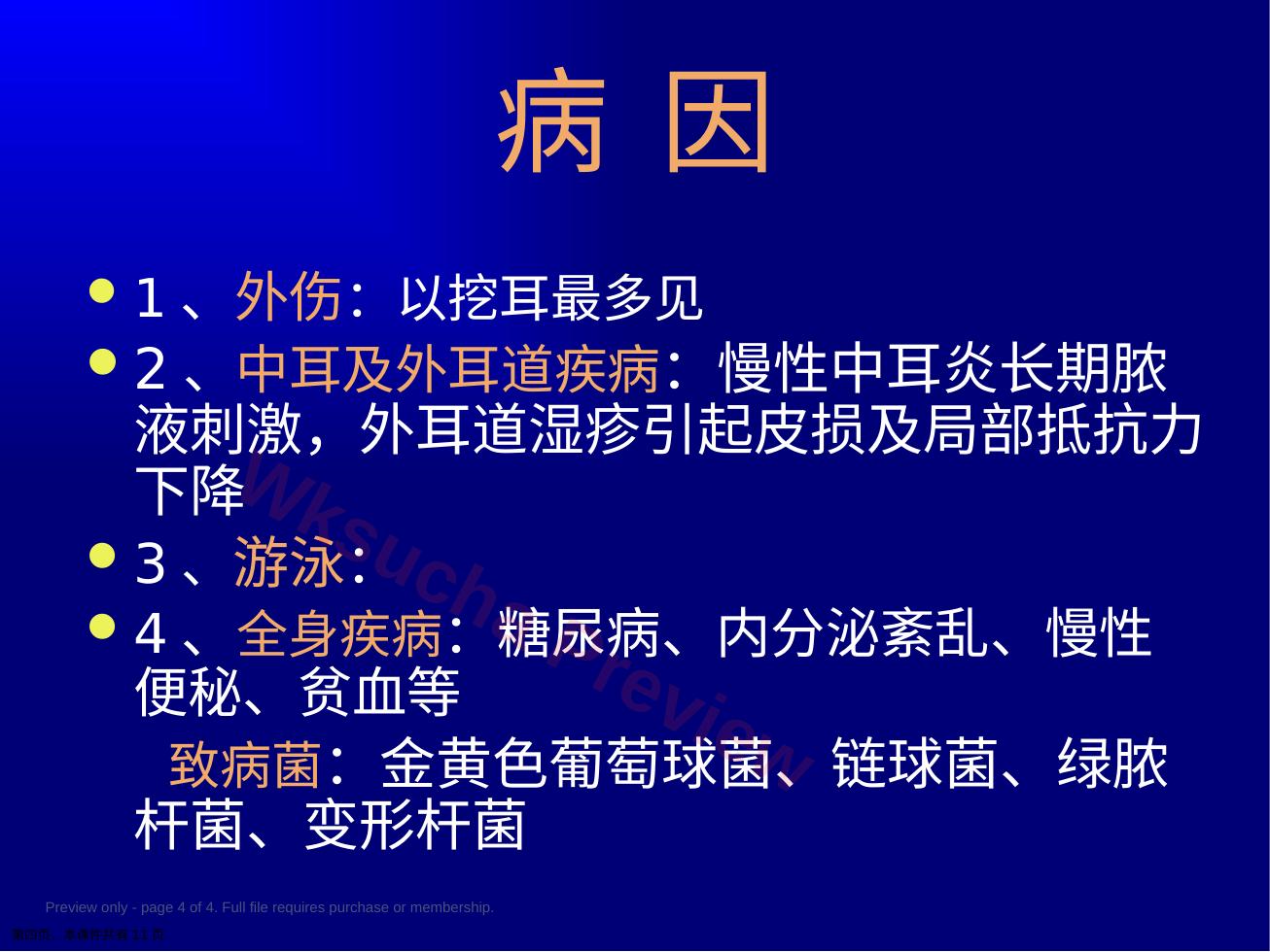 预览第 4 页