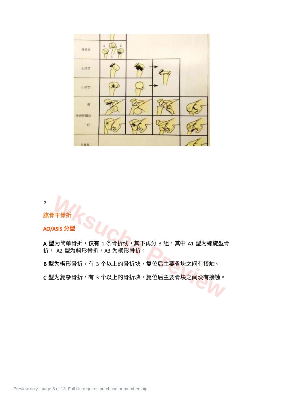 预览第 5 页