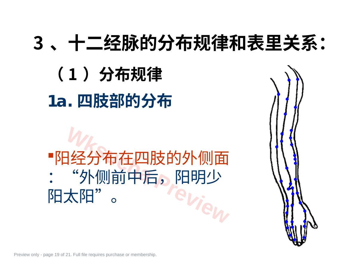 预览第 19 页