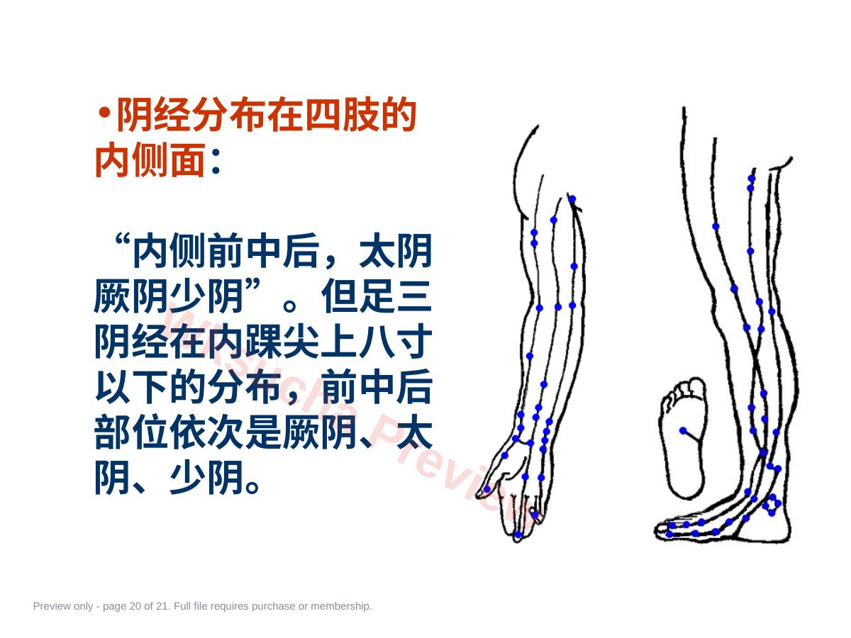 预览第 20 页