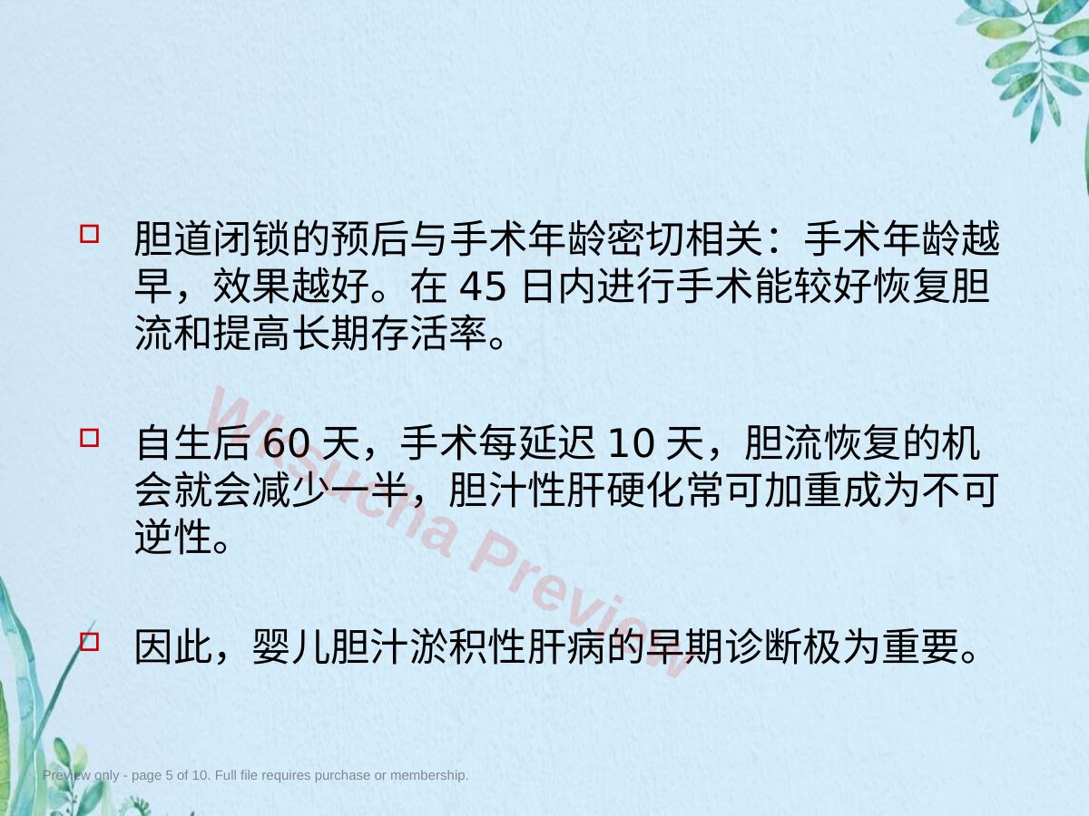 预览第 5 页