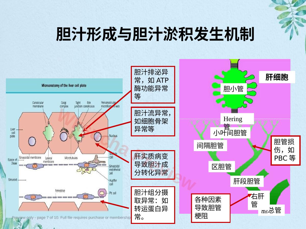 预览第 7 页