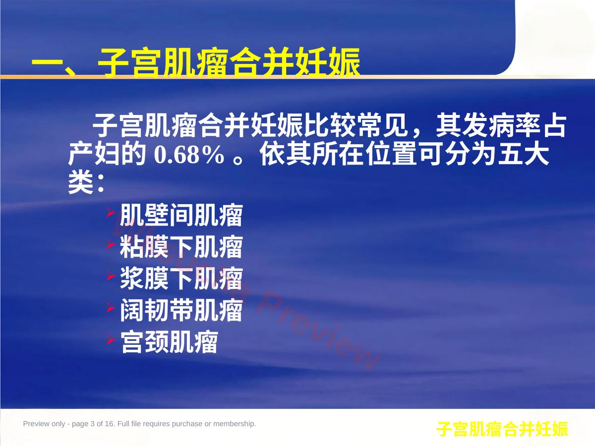 预览第 3 页