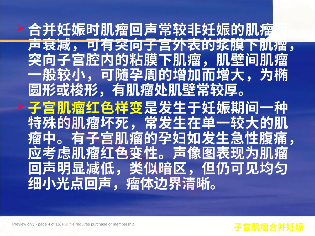 预览第 4 页